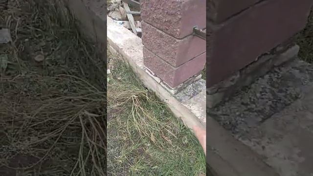 Укладка бессера под расшивку смотреть онлайн