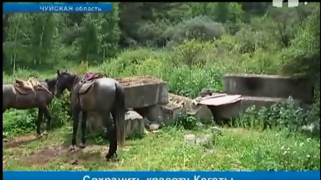 Всю красоту ущелья Кегеты портит мусор смотреть онлайн