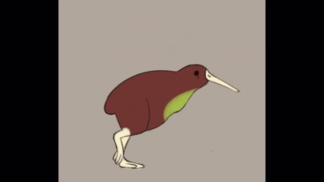 Kiwi Bird Running For 44 Seconds смотреть онлайн