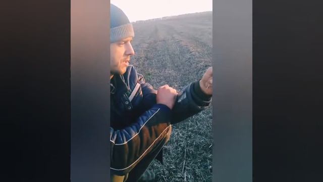 Выращивание однозубки чеснока с возможной реализацией. смотреть онлайн