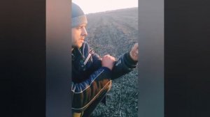 Выращивание однозубки  чеснока с возможной реализацией.