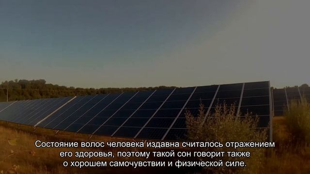 К чему снится густые волосы? Толкование сна и его значение по сонникам Ванги и Хассе смотреть онлайн