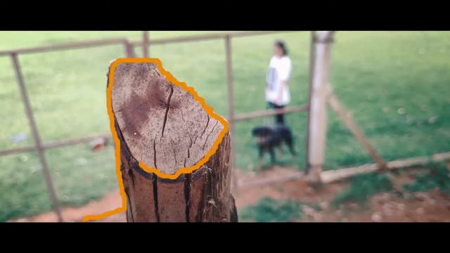 Adestramento de cães: Doberman e Pastores para guarda pessoal (C.D.A Trailer) смотреть онлайн