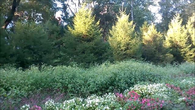 По ул. Русской . Владивосток смотреть онлайн