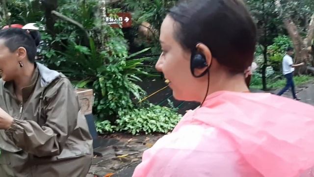 БУРЯ ЭМОЦИЙ В ТРОПИЧЕСКОМ ПАРКЕ "ЯНОДА"//ОТДЫХ В КИТАЕ?✌️☔ смотреть онлайн