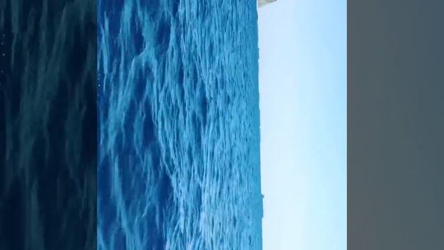 Кабардинка, яхта ушли в открытое море. Скоро в Ижевск смотреть онлайн