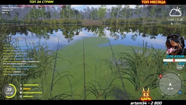 КАРП НОВАЯ ТОЧКА - НОВАЯ НАЖИВКА Ст. ОСТРОГ // ФАРМ ✅ РУССКАЯ РЫБАЛКА 4 ? Russian Fishing 4 ? РР4 смотреть онлайн
