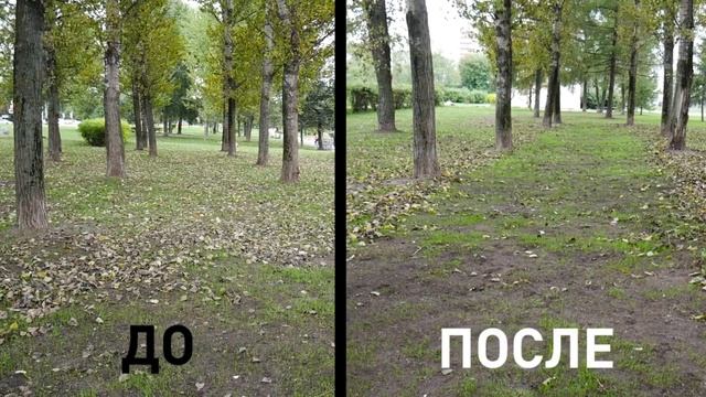 Это эффективное устройство. Воздуходувка Oleo-Mac BV 250 #Воздуходувка #Oleo-Mac#ПылесосСадовый смотреть онлайн