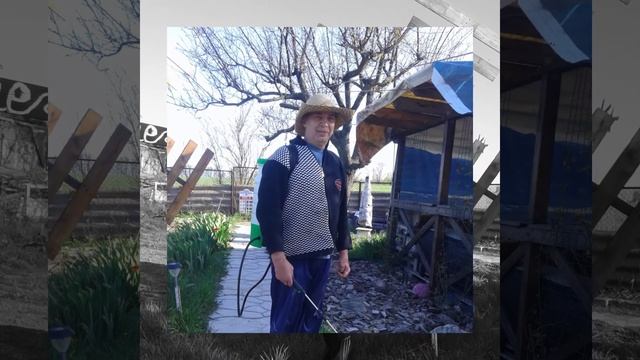 Любимая семья,любимая дача смотреть онлайн