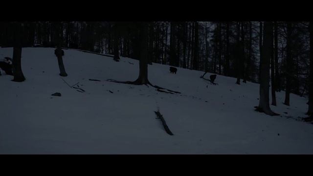 Night Pearl - SEER 35 PRO смотреть онлайн