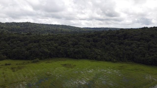 Les Marais de Kaw – Vue du ciel смотреть онлайн