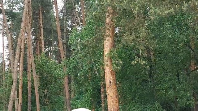 ВНИМАНИЕ ! СОВМЕСТНЫЙ РИТУАЛ В 21 00… ВЕДЬМИНА ИЗБА ▶️ ИНГА ХОСРОЕВА смотреть онлайн