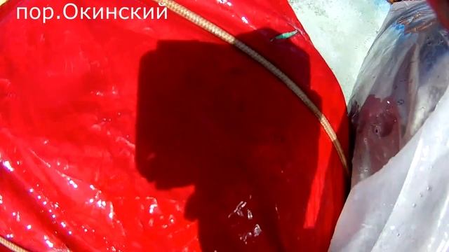 р Ока Саянская 2021 смотреть онлайн