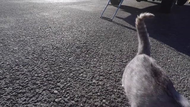 Кисловодск Архыз