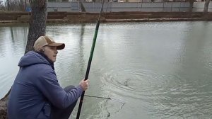 Форель на удочку с боковым кивком (вываживание)