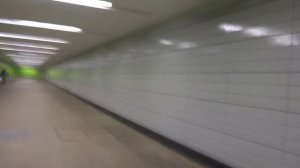 Лифт на станции Лермонтовский проспект