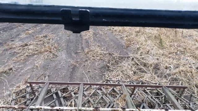 Уборка ботвы гарбуза (тыквы) культиватором смотреть онлайн