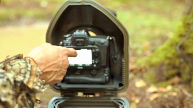 Часть первая.Установка зеркальной камеры в лесу.Dsrl camera trap setup. смотреть онлайн