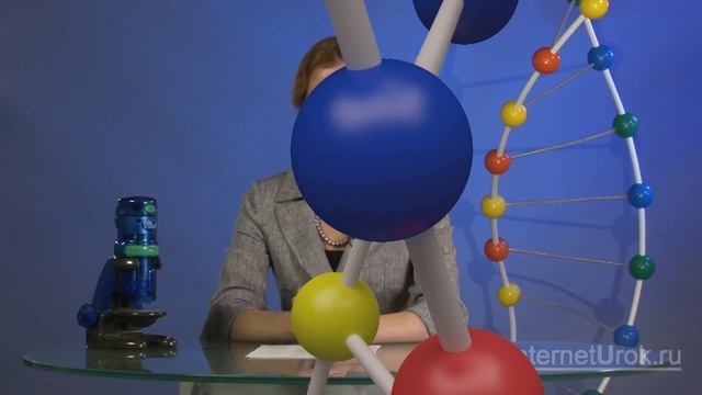 Строение клетки. Клеточная мембрана. Ядро. Видеоурок по биологии 10 класс смотреть онлайн