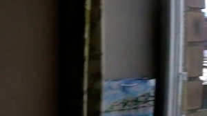 Строчки (сморчки): сбор, заморозка, приготовление. Рассказ мастер-класс.