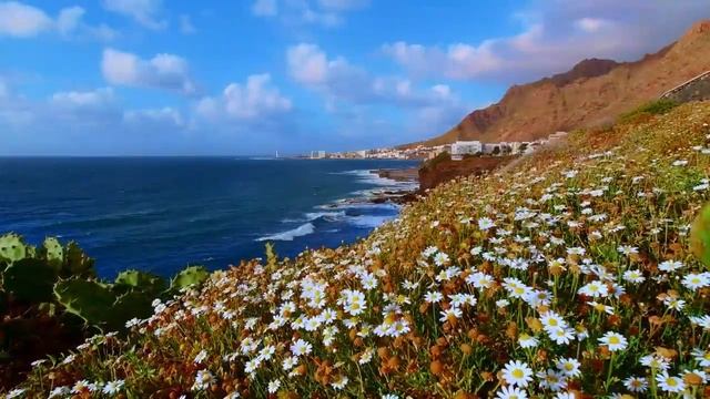 Звуки моря.