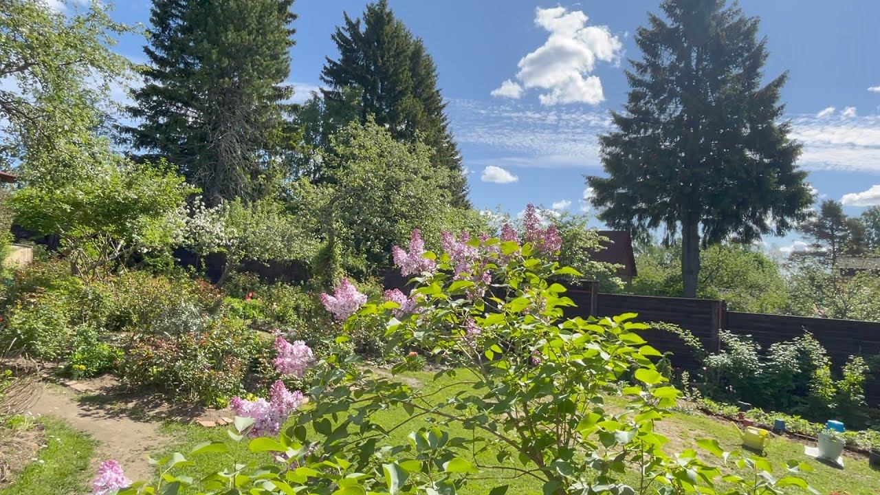 Май в Саду 28 и 31 мая 2023