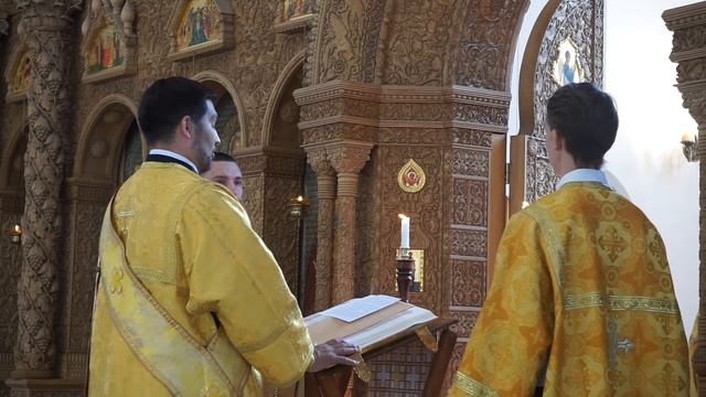 2018-07-15 Евангельское чтение (Мф 9, 27-35): смотреть онлайн