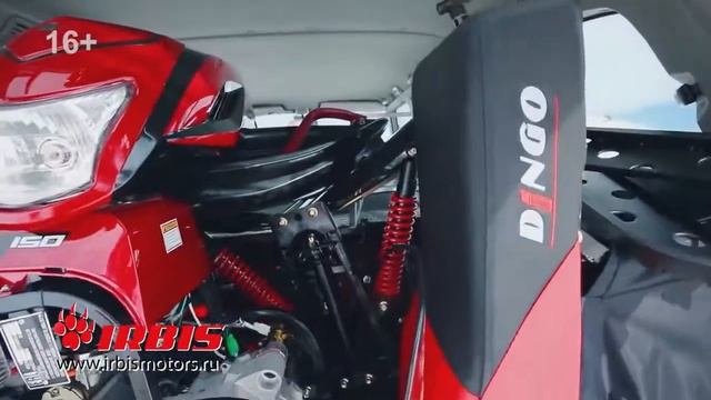 Купить Снегоход IRBIS DINGO T150 BIKE18 RU видео развлечения смотреть онлайн