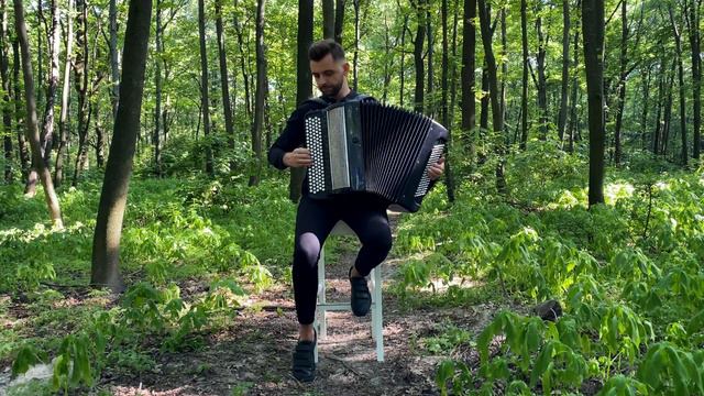 Yann Tiersen - Comptine d'un autre été | Accordion Cover смотреть онлайн