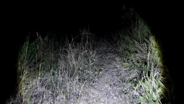 FANTASMA ASSUSTADOR DE MENINA ESTÁ COM SUA FAMÍLIA NO LOCAL DA SUA MORTE!