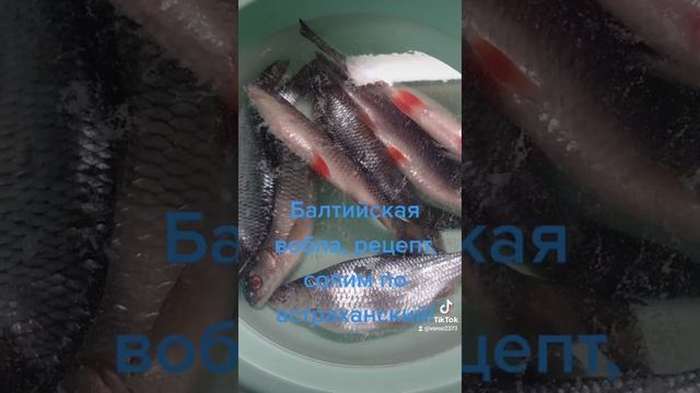 Солим воблу смотреть онлайн