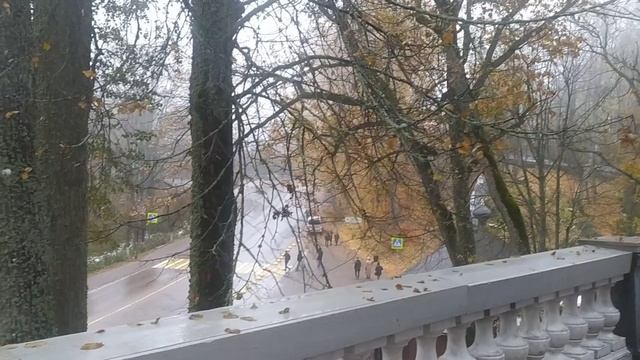 Могила Пушкина в Успенском Святогорском монастыре в Пушкиногорье в ноябре 2023 смотреть онлайн