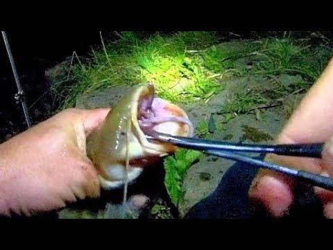 ИСПОРТИЛИ РЫБАЛКУ !!! ВО ВРЕМЯ УЕХАЛ! РЫБАЛКА НА СОМА С НОЧËВКОЙ! смотреть онлайн