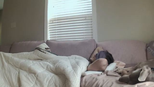 November 16th Sleep Stream
