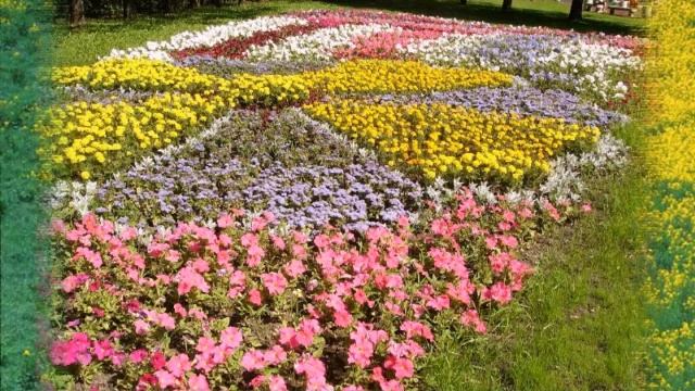 Waltz - Song of the Cranes смотреть онлайн