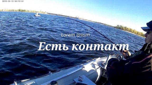 "На судака" в "Морквашах" смотреть онлайн