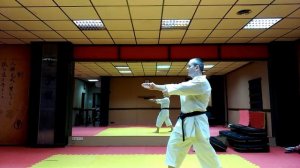 Хеян Сандан. Подробное изучение ката.