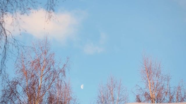 «Потолок ледяной, дверь скрипучая…» Хор "Весна" смотреть онлайн