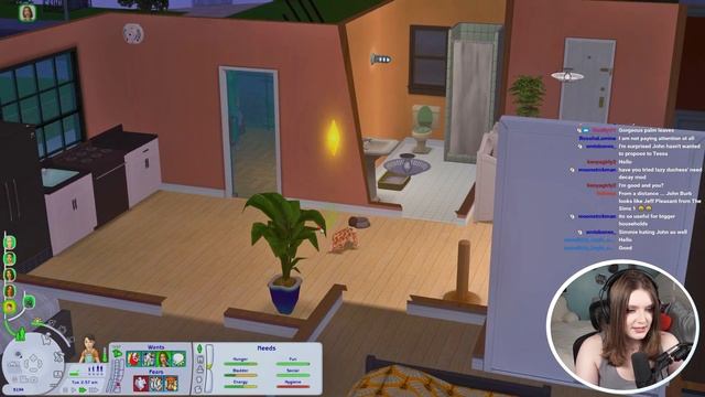 My Sims game has a MAJOR population problem смотреть онлайн