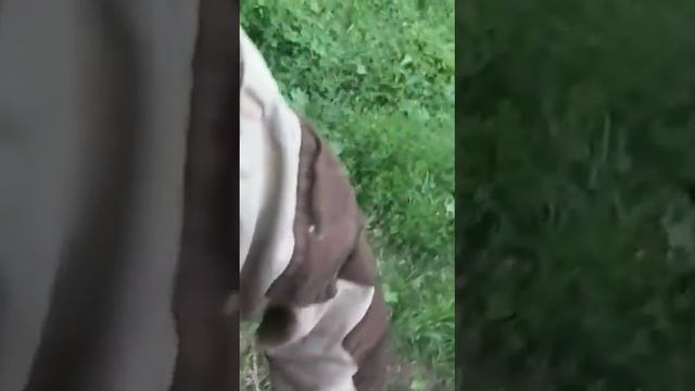 17 ноября 2022 г. смотреть онлайн