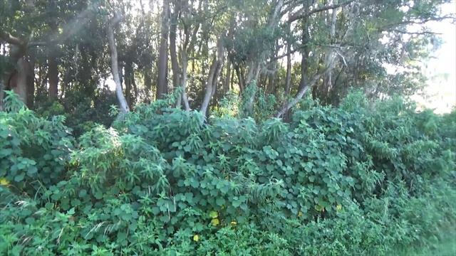 Psalm 105:1-6, 23-26, 45c Prayer смотреть онлайн