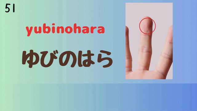Learn Japanese! Words For Body Parts Top100/This Is All You Need!(Free PDF)