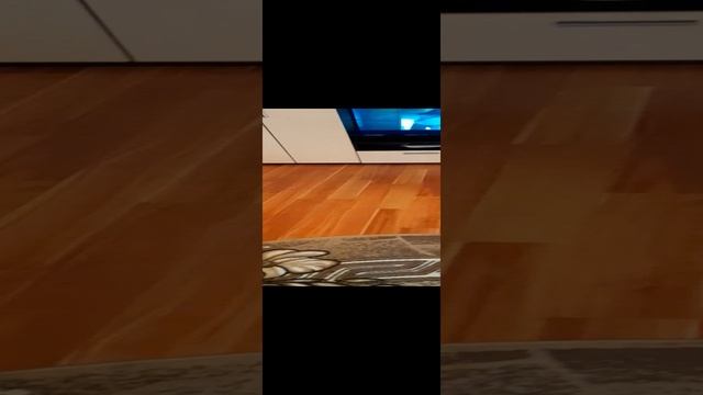 Вы такого ещё не видели! Кот бегемот смотреть онлайн