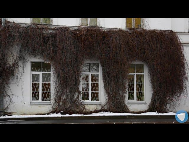 СПбГЛТУ - главный корпус, 1 учебное здание. Институтский пер , 5, корп 1 (лит У) смотреть онлайн