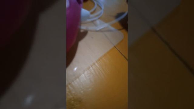 делаем породу сабаки смотреть онлайн