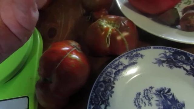 Томат Беркли Тай Дай Хат. смотреть онлайн