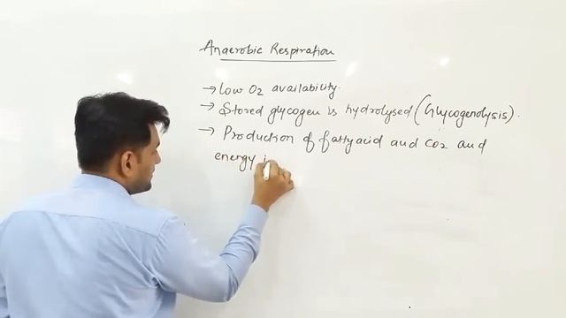 Anaerobic Respiration in Fasciola hepatica by Siddharth Anand #SMDTKM смотреть онлайн