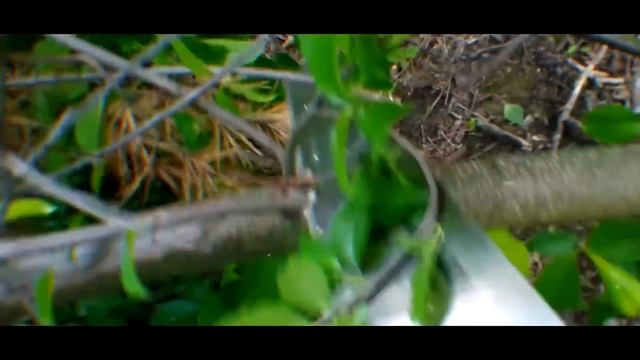 СДЕЛАЛ ВОРКАУТ ПЛОЩАДКУ В ЛЕСУ за 0 Рублей!! (ЭКСПЕРИМЕНТ) смотреть онлайн