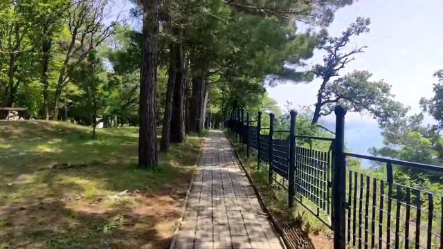 Бетта Курортный хутор. Обзор смотреть онлайн