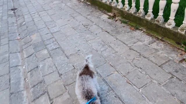 Черногория 2023 ?? | БЕЗВИЗОВАЯ СТРАНА | КАК ПОЛУЧИТЬ ВИД НА ЖИТЕЛЬСТВО ЧЕРНОГОРИИ | смотреть онлайн